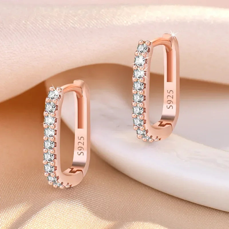 925 Sterling Silver Crystal Jewelry Fashion Zircon Circle Hoop Earrings for Woman Lady Wedding Party Gifts