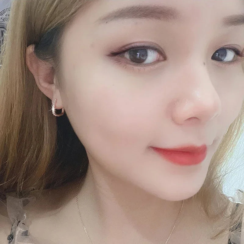 925 Sterling Silver Crystal Jewelry Fashion Zircon Circle Hoop Earrings for Woman Lady Wedding Party Gifts