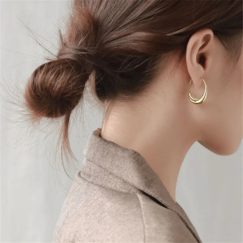 925 Silver Needle Geometric Oval Hoop Earrings For Women Party Wedding Punk Jewelry Gift